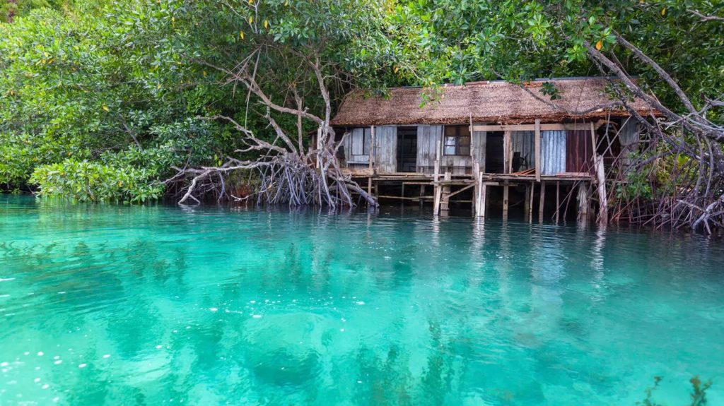 celebes.fr