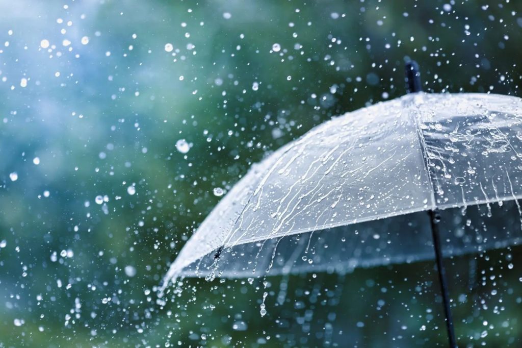 raincheckbook.com